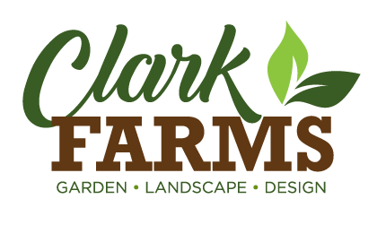 Clark Farms Alice in Wonderland Corn Maze
